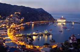 catalina at night