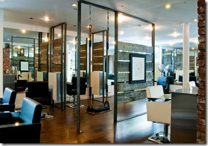 Kristoff Ball Salon Overview with Swing