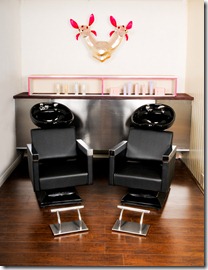 Kristoff Shampoo bowls